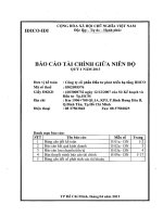Báo cáo tài chính quý 1 năm 2013 - Công ty Cổ phần Đầu tư phát triển hạ tầng IDICO