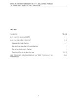 Báo cáo tài chính quý 1 năm 2013 - Công ty cổ phần Supe Phốt phát và Hóa chất Lâm Thao