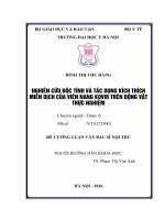 NGHIÊN cứu độc TÍNH và tác DỤNG KÍCH THÍCH MIỄN DỊCH của VIÊN NANG KOVIR TRÊN ĐỘNG vật THỰC NGHIỆM 