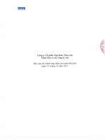 Báo cáo tài chính hợp nhất năm 2011 (đã kiểm toán) - Công ty Cổ phần Tập đoàn Thủy sản Minh Phú