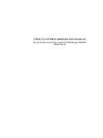 Báo cáo tài chính quý 2 năm 2009 - Công ty Cổ phần Khoáng sản Mangan