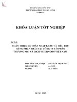 Luận văn hoàn thiện kế toán nhập khẩu và tiêu thụ hàng nhập khẩu tại công ty cổ phần thương mại và dịch vụ dragon việt nam 