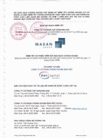 Bản cáo bạch - Công ty Cổ phần Tập đoàn MaSan