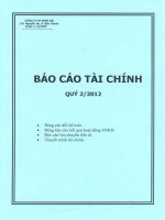 Báo cáo tài chính công ty mẹ quý 2 năm 2012 - Công ty Cổ phần Tập đoàn Kido