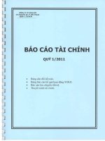 Báo cáo tài chính công ty mẹ quý 1 năm 2011 - Công ty Cổ phần Tập đoàn Kido