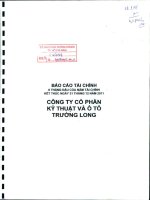 Báo cáo tài chính quý 2 năm 2011 (đã soát xét) - Công ty Cổ phần Kỹ thuật và Ô tô Trường Long