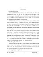 Tổ chức công tác kế toán doanh thu và xác định kết quả kinh doanh tại công ty trách nhiệm hữu hạn một thành viên  mai linh hà nam’’ 