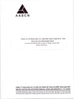 Báo cáo tài chính hợp nhất năm 2009 (đã kiểm toán) - Công ty cổ phần Đầu tư, Thương mại và Dịch vụ - Vinacomin