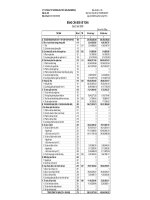 Báo cáo tài chính quý 3 năm 2009 - Công ty Cổ phần Đầu tư Thương mại Thủy Sản