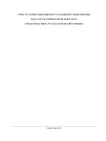 Báo cáo tài chính quý 2 năm 2013 (đã kiểm toán) - Công ty Cổ phần Khai khoáng và Cơ khí Hữu nghị Vĩnh Sinh