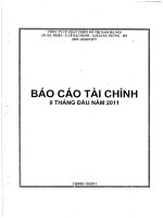 Báo cáo tài chính 9 tháng đầu năm 2011 - Công ty cổ phần Phát triển Đô thị Nam Hà Nội