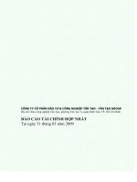 Báo cáo tài chính hợp nhất quý 1 năm 2009 - Công ty Cổ phần Đầu tư và Công nghiệp Tân Tạo