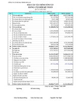 Báo cáo tài chính quý 2 năm 2009 - Công ty Cổ phần Sách và Thiết bị trường học Long An