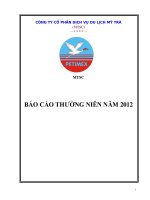 Báo cáo thường niên năm 2012 - CTCP Dịch vụ Du lịch Mỹ Trà