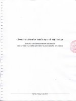 Báo cáo tài chính năm 2011 (đã kiểm toán) - Công ty cổ phần Thiết bị Y tế Việt Nhật
