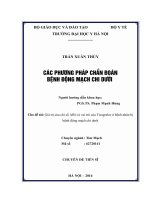Giá trị của chỉ số ABI và vai trò của ticagrelor ở bệnh nhân bị bệnh động mạch chi dưới 
