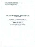 Báo cáo tài chính hợp nhất quý 2 năm 2012 - CTCP Hàng Tiêu dùng Masan - Masan Consumer