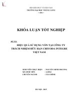Luận văn hiệu quả sử dụng vốn tại công ty TNHH CHIYODA INTEGRE việt nam