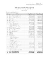 Báo cáo tài chính hợp nhất quý 4 năm 2009 - Công ty Cổ phần Xây dựng Sông Hồng