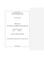 Pháp luật về tổ chức tài chính vi mô ở việt nam