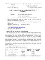 Báo cáo tình hình quản trị công ty - Công ty Cổ phần Phát triển Nhà và Sản xuất Vật liệu xây dựng Chí Linh