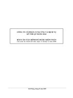 Báo cáo tài chính công ty mẹ năm 2008 (đã kiểm toán) - Công ty Cổ phần Khai khoáng và Cơ khí Hữu nghị Vĩnh Sinh