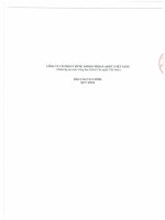 Báo cáo tài chính quý 1 năm 2013 - Công ty cổ phần Chứng khoán MIRAE ASSET WEALTH MANAGEMENT Việt Nam