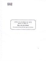 Báo cáo tài chính năm 2014 (đã kiểm toán) - Công ty cổ phần Du lịch - Dịch vụ Hội An