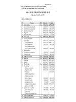 Báo cáo tài chính quý 2 năm 2008 - Công ty Cổ phần Khoáng sản và Vật liệu xây dựng Lâm Đồng