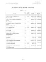 Báo cáo tài chính năm 2008 (đã kiểm toán) - Công ty Cổ phần Sơn Hải Phòng
