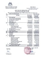 Báo cáo tài chính quý 2 năm 2009 - Công ty Cổ phần Kỹ nghệ Khoáng sản Quảng Nam