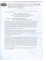 Báo cáo tài chính năm 2009 (đã kiểm toán) - Công ty Cổ phần Xuất nhập khẩu Khoáng sản Hà Nam