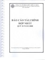 Báo cáo tài chính hợp nhất quý 2 năm 2008 - Công ty Cổ phần Hữu Liên Á Châu