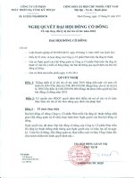 Nghị quyết đại hội cổ đông ngày 12-01-2011 - Công ty Cổ phần Phát triển Hạ tầng Kỹ thuật