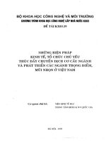 Những biện pháp kinh tế, tổ chức chủ yếu thúc đẩy chuyển dịch cơ cấu ngành và phát triển các ngành trọng điểm, mũi nhọn ở việt nam