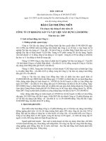 Báo cáo thường niên năm 2009 - Công ty Cổ phần Khoáng sản và Vật liệu xây dựng Lâm Đồng