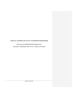 Báo cáo tài chính năm 2009 (đã kiểm toán) - Công ty Cổ phần Sản xuất và Kinh doanh Kim khí