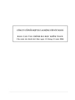 Báo cáo tài chính năm 2006 (đã kiểm toán) - Công ty Cổ phần Hợp tác Lao động với Nước ngoài