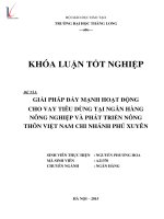 Luận văn giải pháp đẩy mạnh hoạt động cho vay tiêu dùng tại ngân hàng nông nghiệp và phát triển nông thôn chi nhánh phú xuyên 