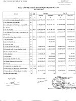 Báo cáo KQKD công ty mẹ quý  năm 2011 - Công ty Cổ phần Phát triển Đô thị Từ Liêm