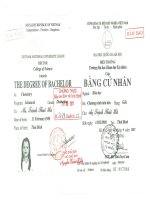 7 degree of bachelor 