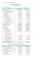 Báo cáo tài chính quý 2 năm 2009 - Công ty Cổ phần Someco Sông Đà