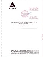 Báo cáo tài chính hợp nhất năm 2008 (đã kiểm toán) - Công ty cổ phần Đầu tư, Thương mại và Dịch vụ - Vinacomin