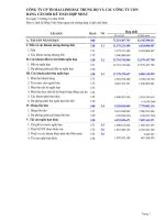 Báo cáo tài chính hợp nhất quý 4 năm 2010 - Công ty Cổ phần Tập đoàn Mai Linh Miền Trung