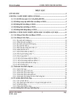 Tính toán kiểm nghiệm hệ thống nhiên liệu động cơ d243 