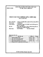 Báo cáo tài chính quý 4 năm 2012 - Công ty Cổ phần Đầu tư phát triển hạ tầng IDICO