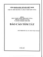 Phát triển nông thôn bền vững những vấn đề lý luận và kinh nghiệm thế giới 