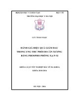 ĐÁNH GIÁ HIỆU QUẢ GIẢM ĐAU TRONG UNG THƯ PHỔI DI căn XƯƠNG BẰNG PHOSPHO PHÓNG xạ p 32 