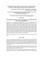 Phân tích đa dạng trình tự ADN ty thể và mối quan hệ di truyền của bò h’mông với một số quần thể bò khác  