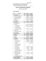 Báo cáo tài chính quý 3 năm 2008 - Công ty Cổ phần Khoáng sản và Vật liệu xây dựng Lâm Đồng
